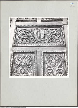 Vorderseite von bh207551_recto