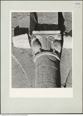 Vorderseite von bh207611_recto