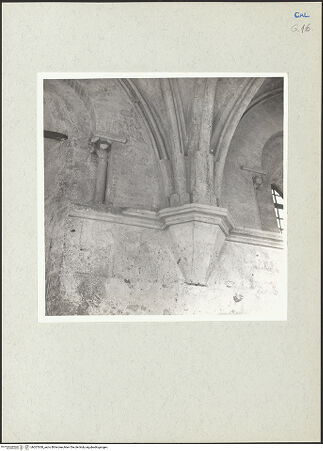 Vorderseite von bh207638_recto