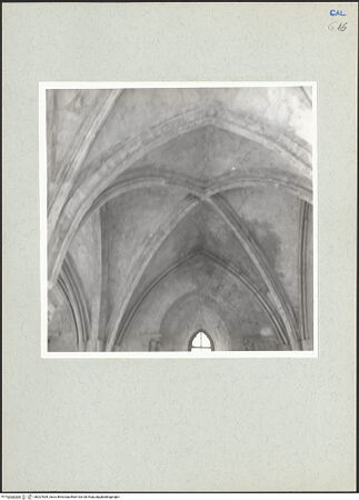 Vorderseite von bh207639_recto