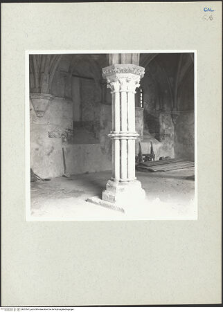 Vorderseite von bh207641_recto