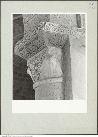 Vorderseite von bh207649_recto