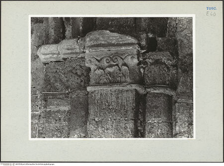 Vorderseite von bh207650_recto