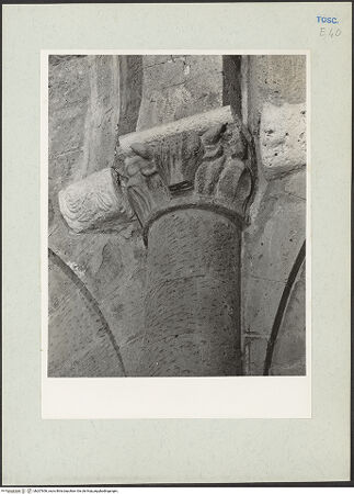 Vorderseite von bh207656_recto