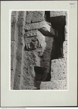 Vorderseite von bh207657_recto