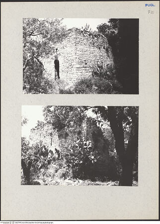 Vorderseite von bh207995_recto