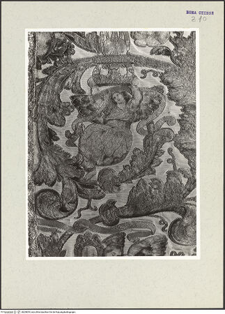 Vorderseite von bh208054_recto