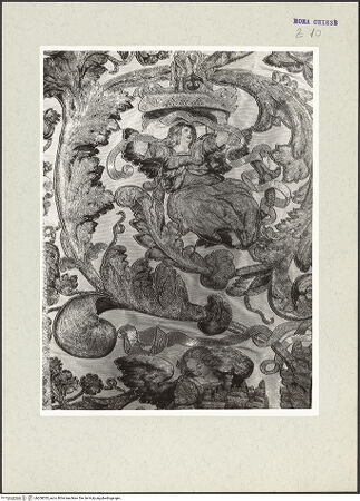 Vorderseite von bh208055_recto