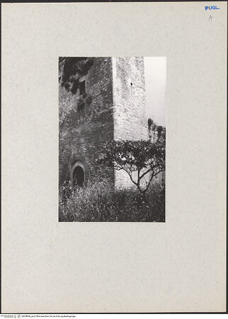 Vorderseite von bh208096_recto