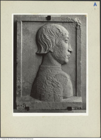 Vorderseite von bh208333_recto