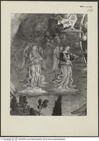 Vorderseite von bh208395_recto