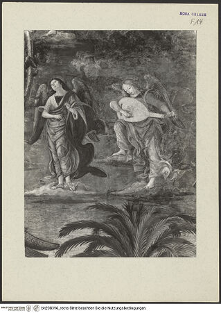 Vorderseite von bh208396_recto