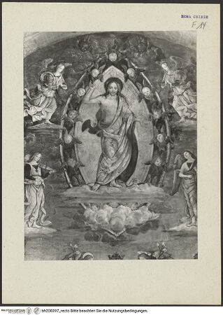 Vorderseite von bh208397_recto