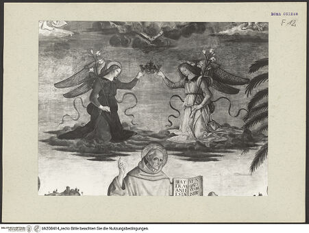 Vorderseite von bh208414_recto