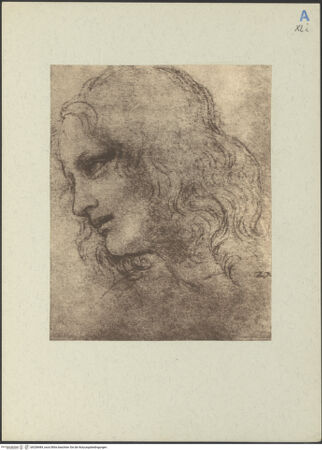 Vorderseite von bh208484_recto