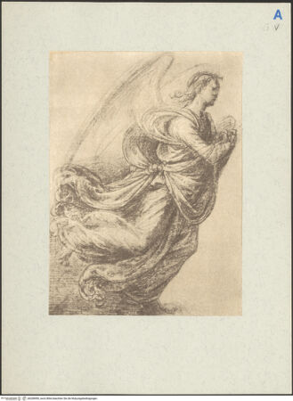 Vorderseite von bh208490_recto