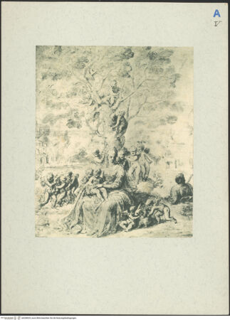 Vorderseite von bh208529_recto