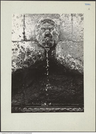 Vorderseite von bh208573_recto