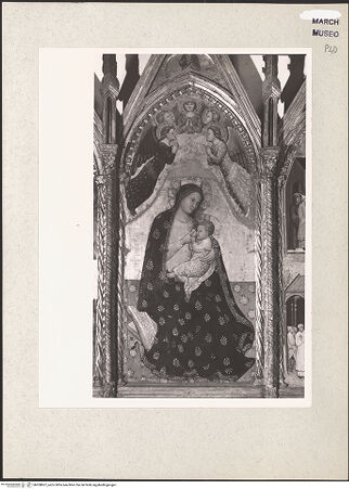 Vorderseite von bh208607_recto