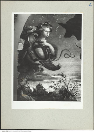 Vorderseite von bh208651_recto