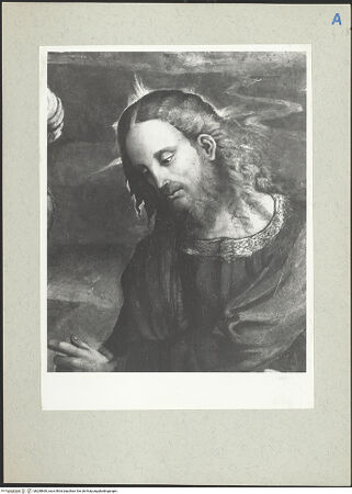 Vorderseite von bh208660_recto