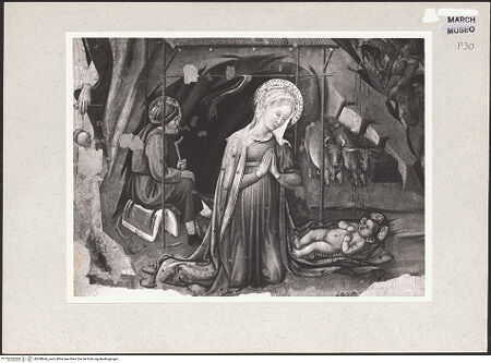 Vorderseite von bh208666_recto