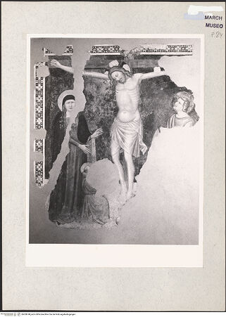 Vorderseite von bh208748_recto