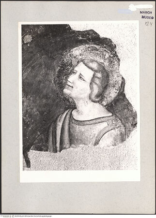 Vorderseite von bh208749_recto