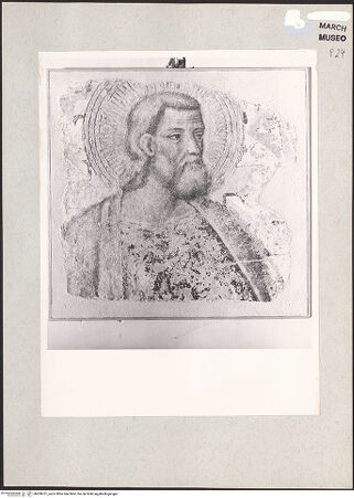 Vorderseite von bh208761_recto