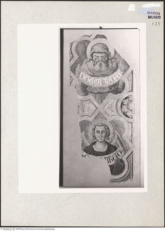 Vorderseite von bh208788_recto