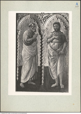 Vorderseite von bh208801_recto