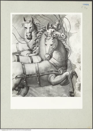 Vorderseite von bh208875_recto