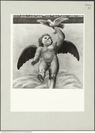 Vorderseite von bh208883_recto