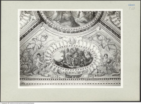 Vorderseite von bh208936_recto