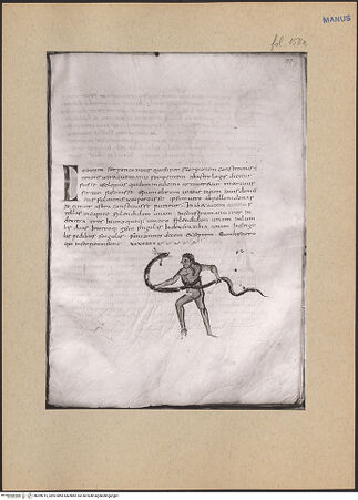 Vorderseite von bh209215_recto