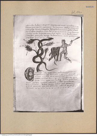 Vorderseite von bh209216_recto