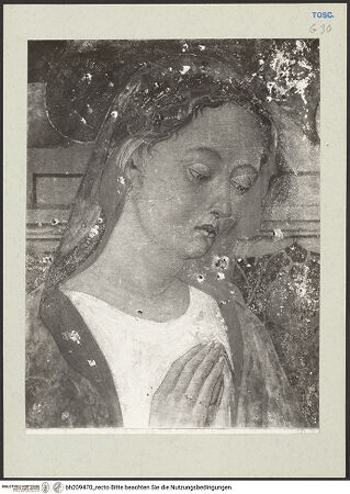 Vorderseite von bh209470_recto