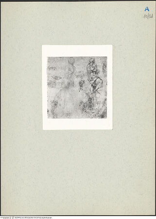 Vorderseite von bh209492_recto