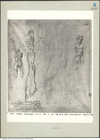 Vorderseite von bh209493_recto