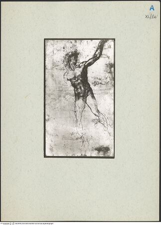 Vorderseite von bh209496_recto