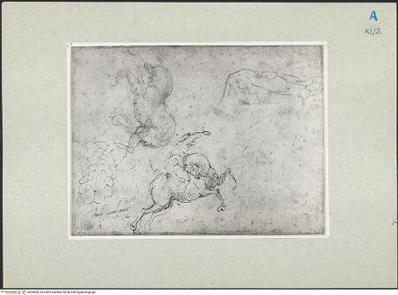 Vorderseite von bh209498_recto