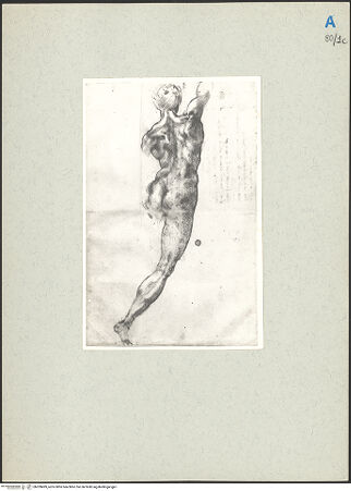 Vorderseite von bh209499_recto