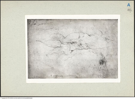 Vorderseite von bh209500_recto