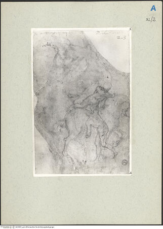 Vorderseite von bh209501_recto