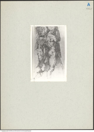 Vorderseite von bh209506_recto