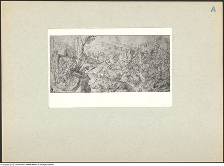 Vorderseite von bh209508_recto