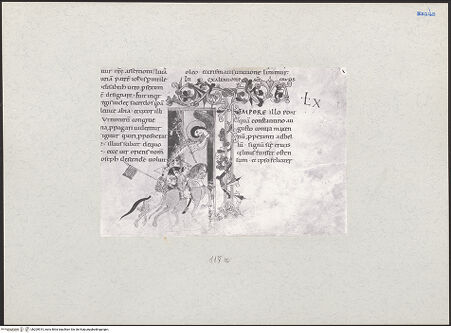 Vorderseite von bh209515_recto