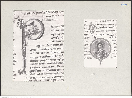 Vorderseite von bh209521_bh209522_recto