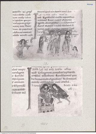 Vorderseite von bh209523_bh209524_recto