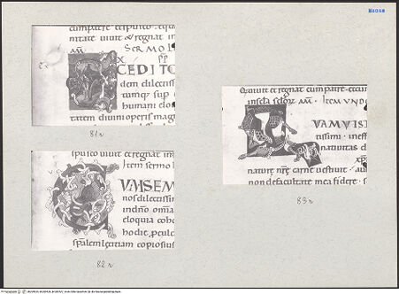 Vorderseite von bh209525_bh209526_bh209527_recto